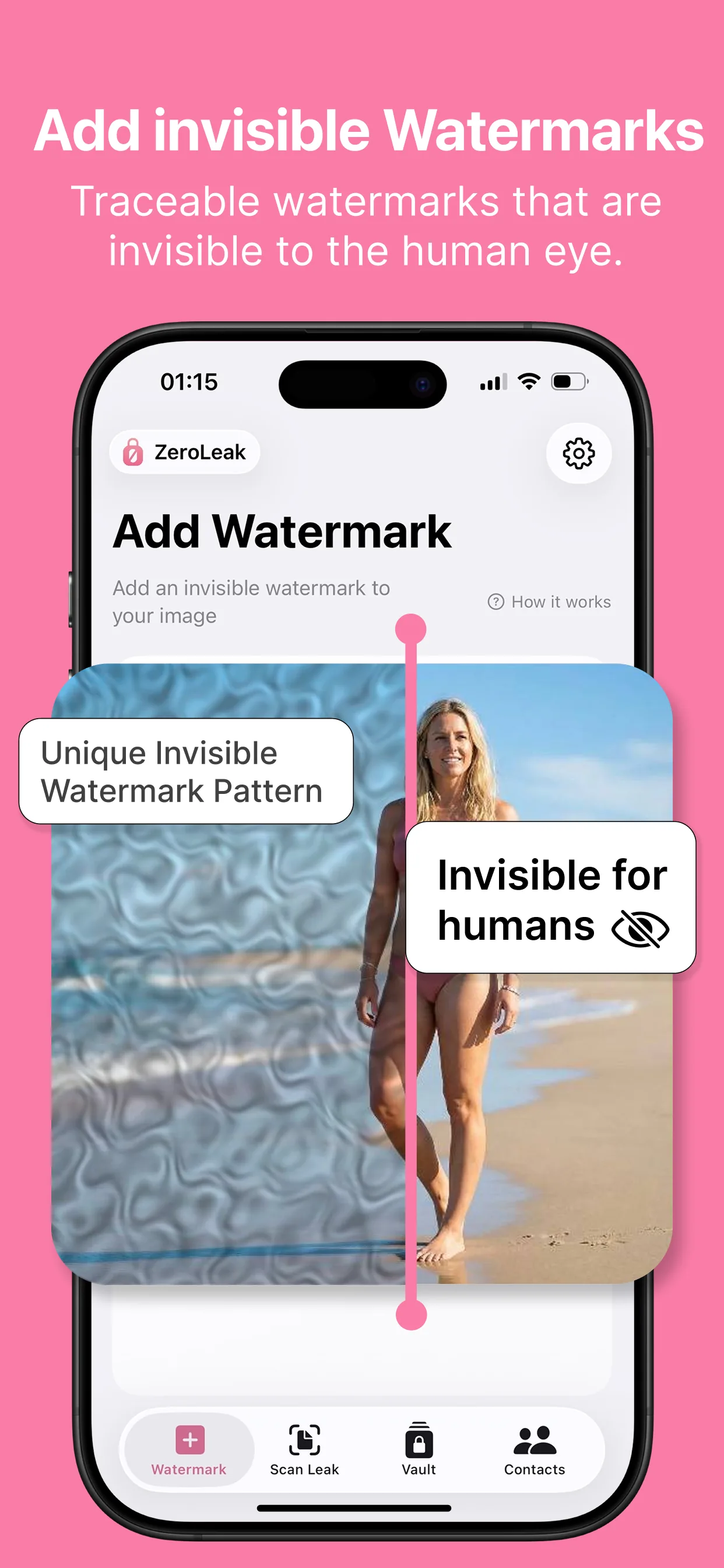 ZeroLeak add watermark step